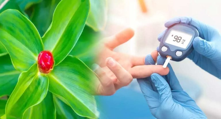 Health Benefits : డ‌యాబెటిస్ కు ఈ ఆకులు తింటే ట్యాబ్లెట్ల అవ‌స‌రం ఉండ‌దిక‌.. ఇంకా ఎన్నో హెల్త్ బెనిఫిట్స్
