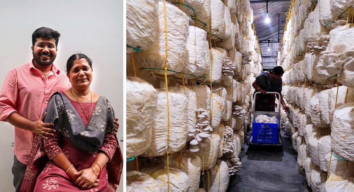 mother son duo leenas how To grow mushroom farm earnings success