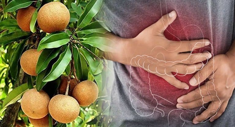 Health Benefits : వీరు సపోటా పండును తినకపోవడమే చాలా మంచిది.. అలా కాదని తిన్నారో ఇక అంతే..