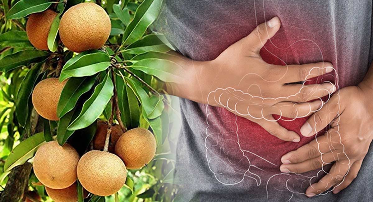 Health Benefits : వీరు సపోటా పండును తినకపోవడమే చాలా మంచిది.. అలా కాదని తిన్నారో ఇక అంతే..