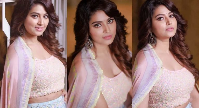 Sneha : సెగ పుట్టిస్తున్న స్నేహా.. హాట్ హాట్ అందాల‌తో మెస్మ‌రైజ్