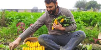 Brother Duo Earn Rs 3.5 Crore Year From Organic Veggies Charming Farm Stay