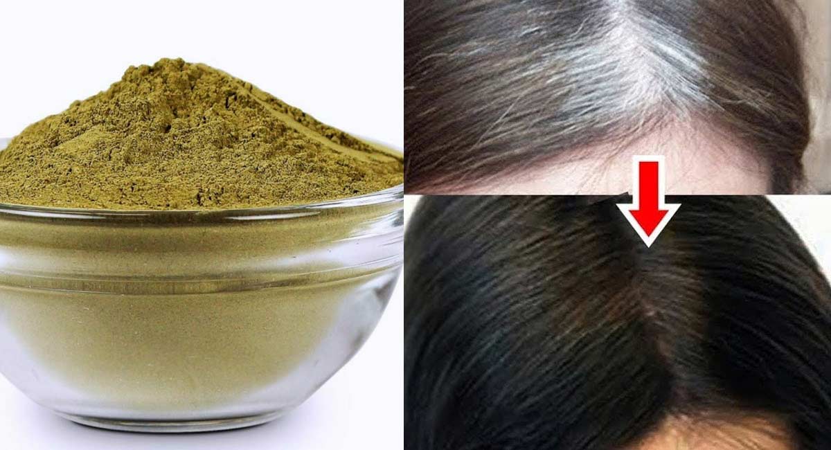 Hair Tips : ఇంట్లోనే తయారు చేసుకునే హెయిర్ కలర్.. తెల్ల వెంట్రుకలన్నీ క్షణాల్లోనే నల్లగా మారుతాయి!