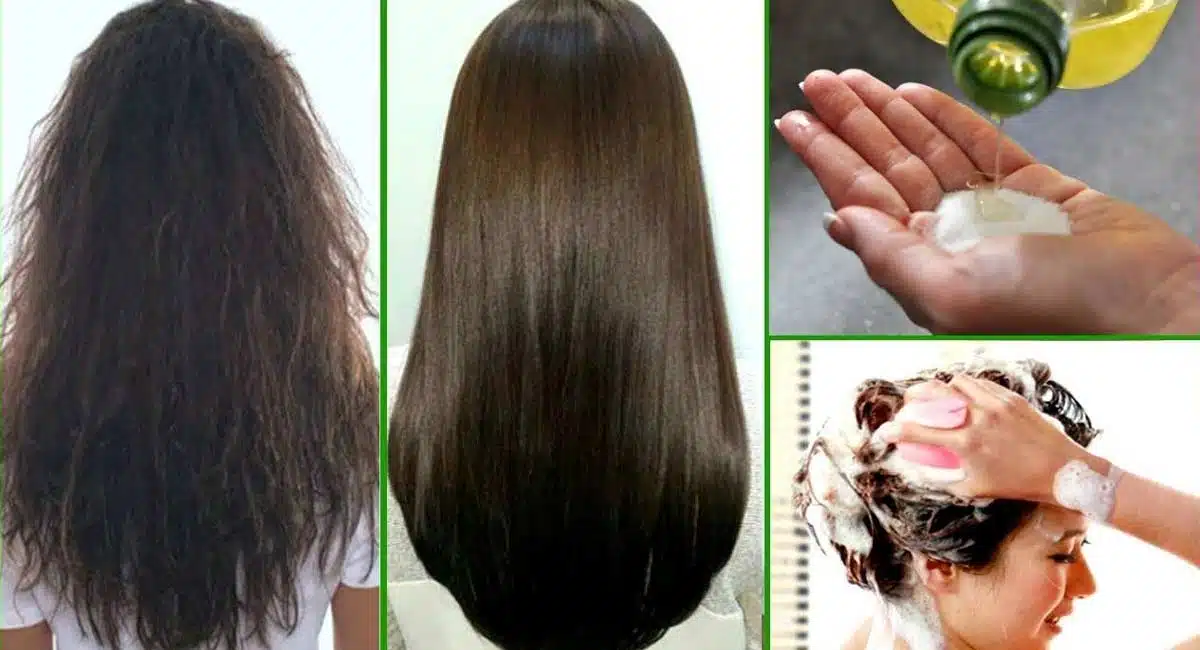Hair Tips for Hair Fall