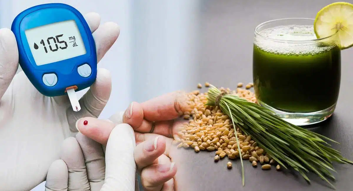 Health Benefits Wheat Grass Juice