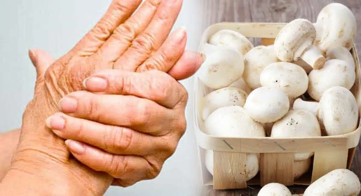 Health Benefits a nervous breakdown try this remedy Mushrooms