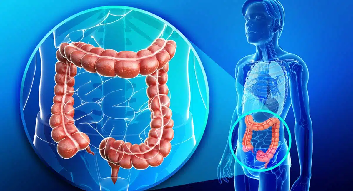 amazing Health Benefits home remedy for bloating fast in stomach