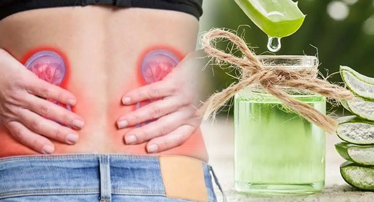Kidney Stones Problem Health Benefits drink Aloe vera juice