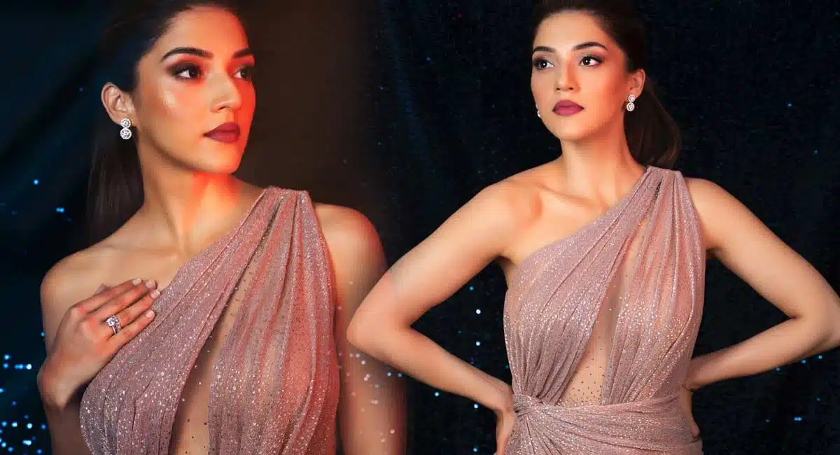 mehreen pirzada latest photos viral