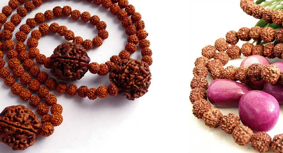 whom the symbol of rudrakshas and why wear them