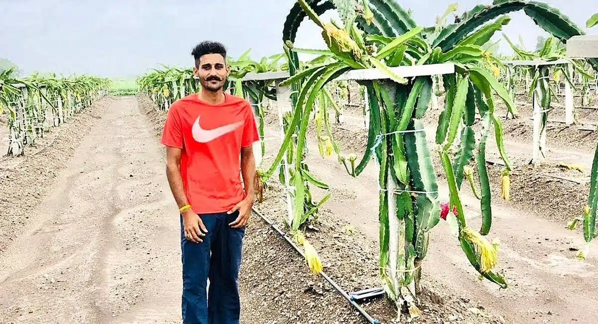 Business Idea punjab farmer grows organic dragon fruit earns lakhs