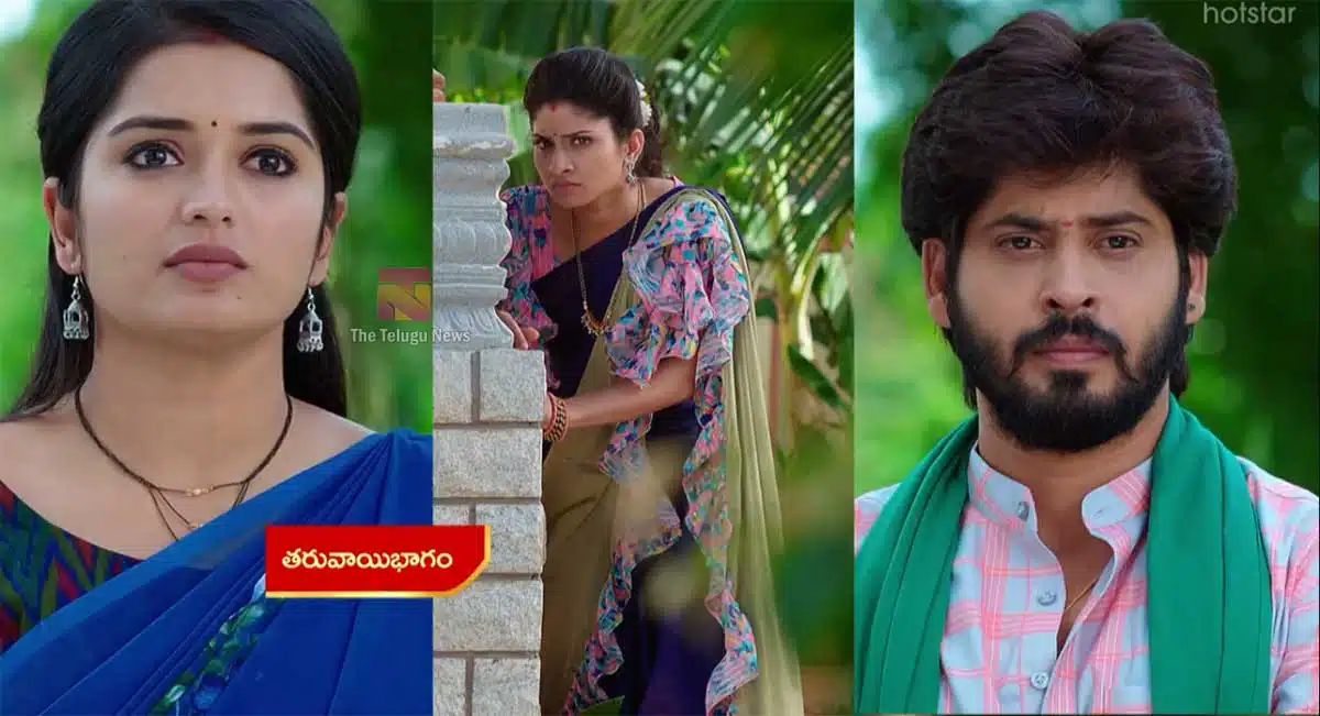 sunanda and kannababu give shock to jnanamba in janaki kalaganaledu