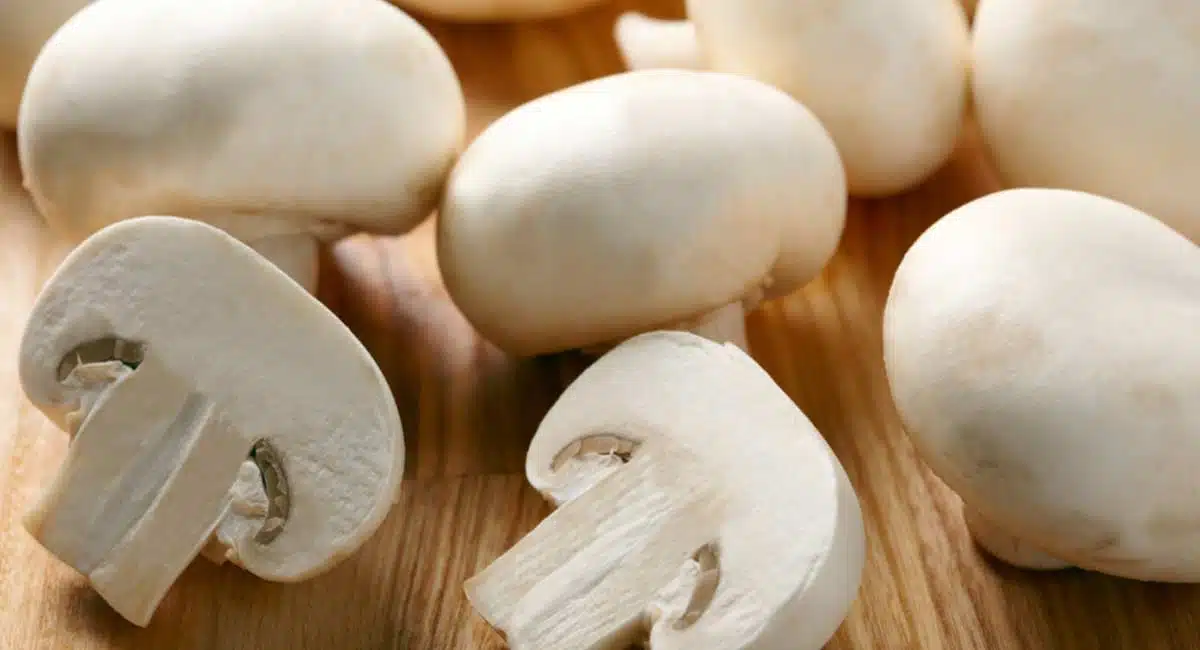 high protein diet reduces heart attacks nerve weakness