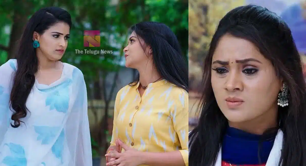 karthika deepam 24 may 2022 today episode