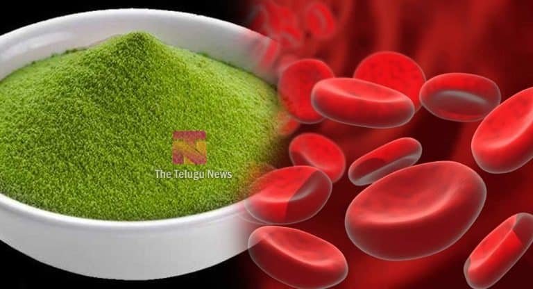 Health Benefits : మీరు రక్తహీనతతో బాధపడుతున్నారా.. అయితే 15 రోజులు ఈ పొడిని వాడి చూడండి..