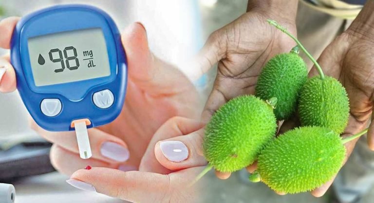 Diabetes : మధుమేహం బాధితులకు గుడ్ న్యూస్! బోడ కాకరకాయ తో మధుమేహంకి చెక్…