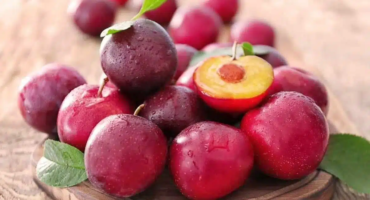 Health Benefits of plum must eat plum or aloo bukhara in monsoon