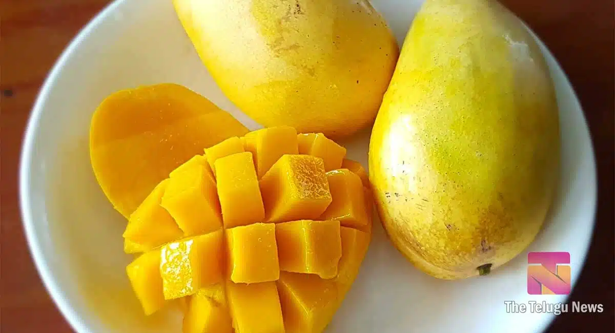 Health Benefits Drinking water immediately after eating mango fruit