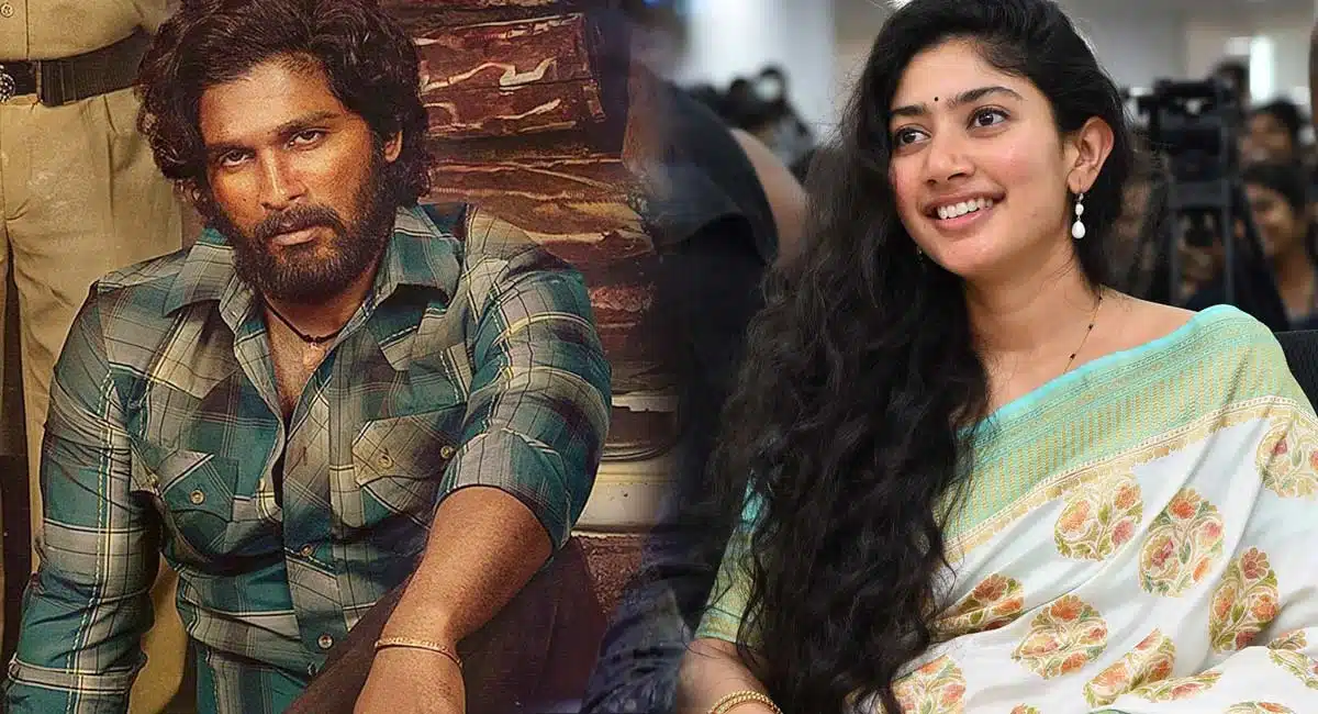 sai pallavi special song in pushpa 2