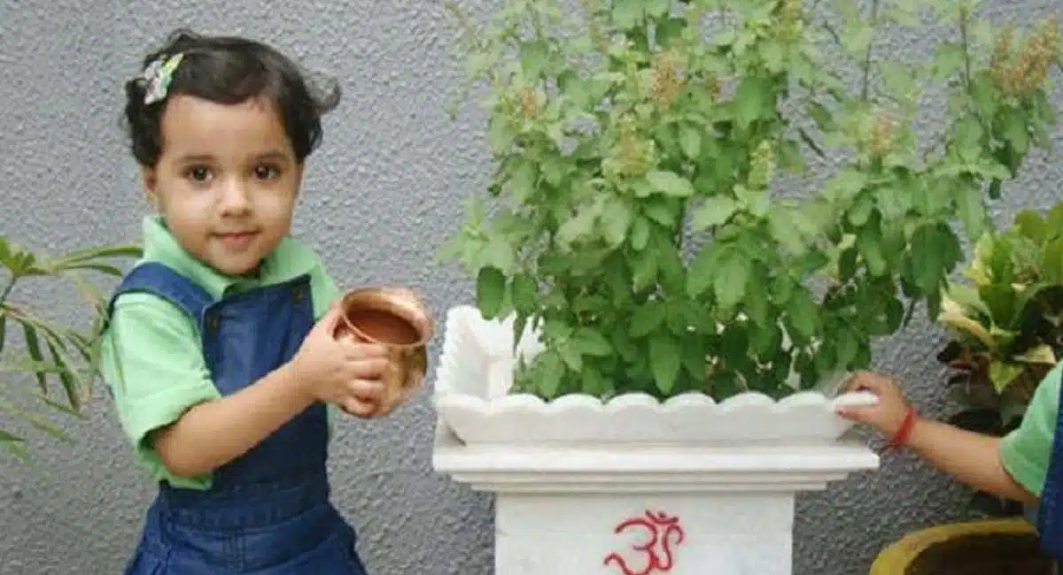 Are you watering the Tulasi Plant at this time