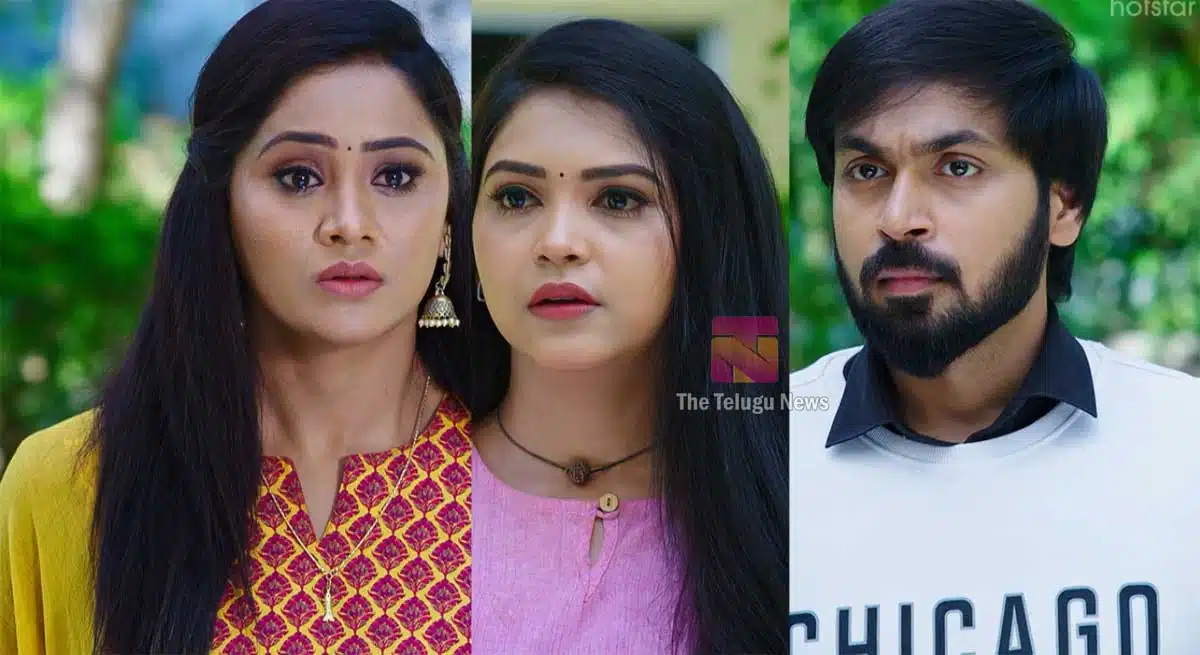 Will that serial compete with Karthika Deepam TRP rating