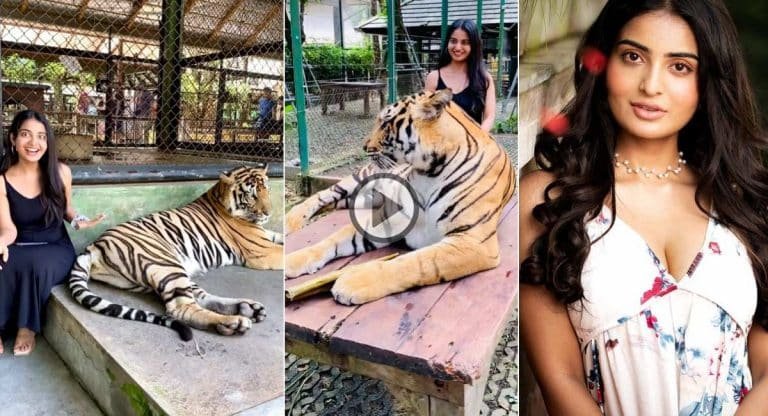Ananya Nagalla : పులితో ప‌రాచ‌కాలా.. అన‌న్య నాగ‌ళ్ల ఎంత పని చేసింది?
