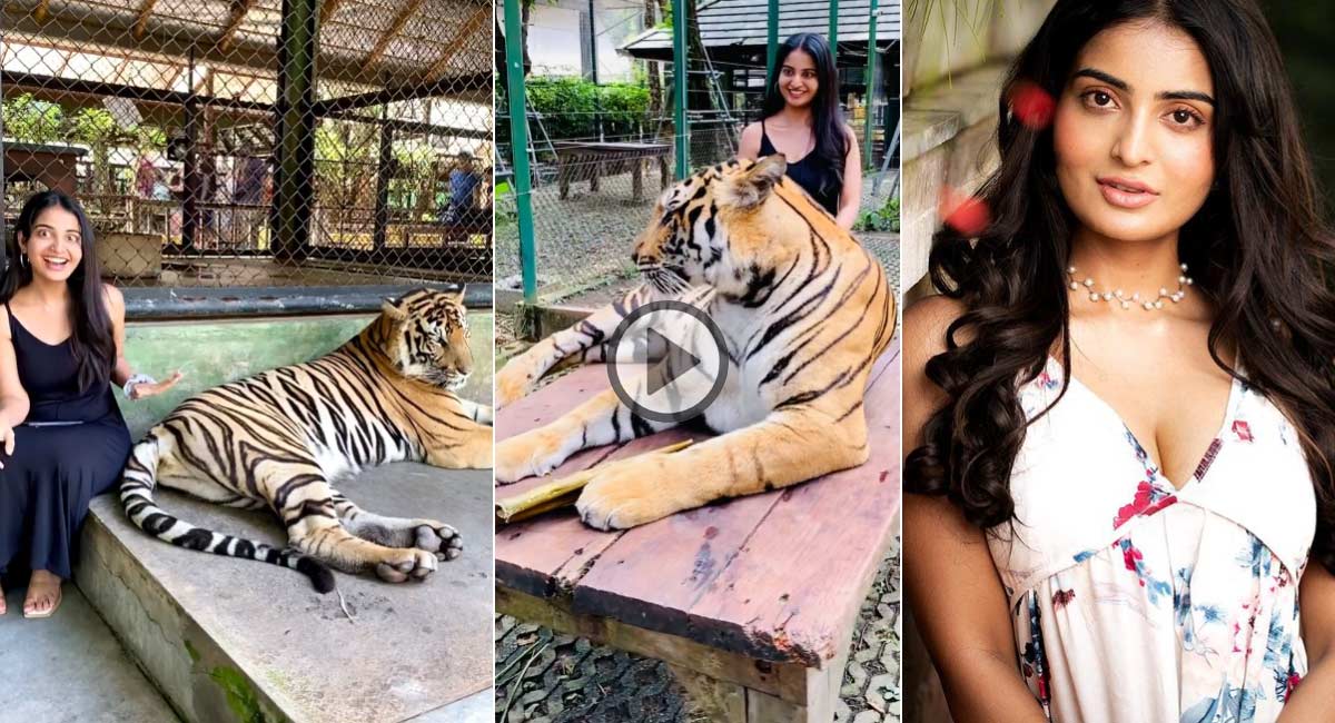 ananya nagalla fun with tiger