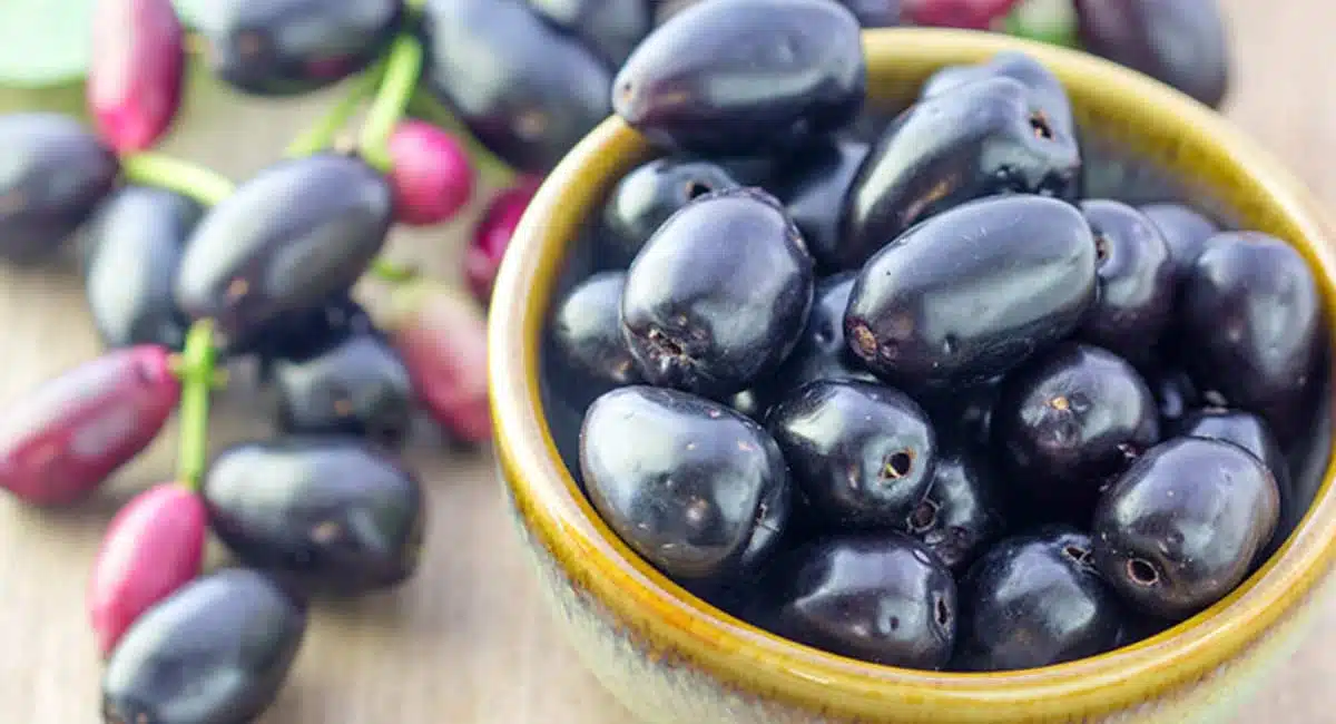 Health Benefits of blueberry uses dont eat much these causes 4 health problems