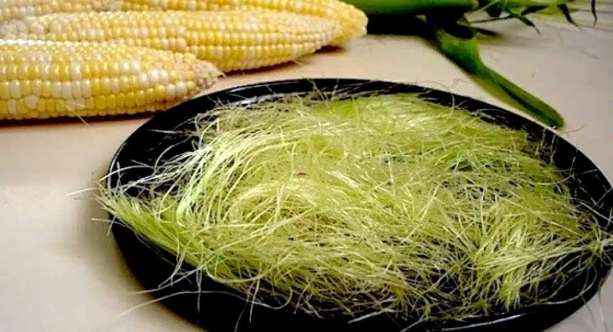 Health Benefits of corn silk