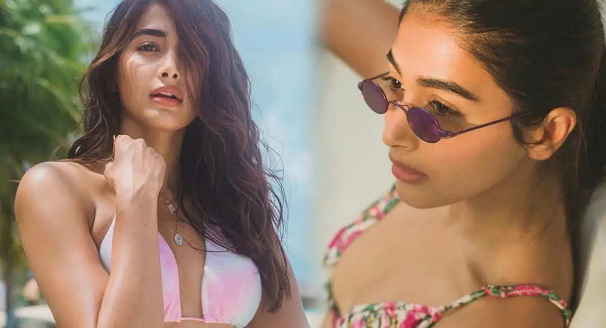 pooja hegde crazy looks are stunning