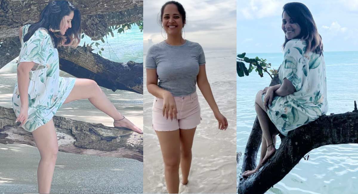 Anasuya : బీచ్ లో చెట్టు కొమ్మ‌పై కూర్చుని అందాల‌తో చెమ‌ట‌లు ప‌ట్టిస్తున్న.. అన‌సూయ‌