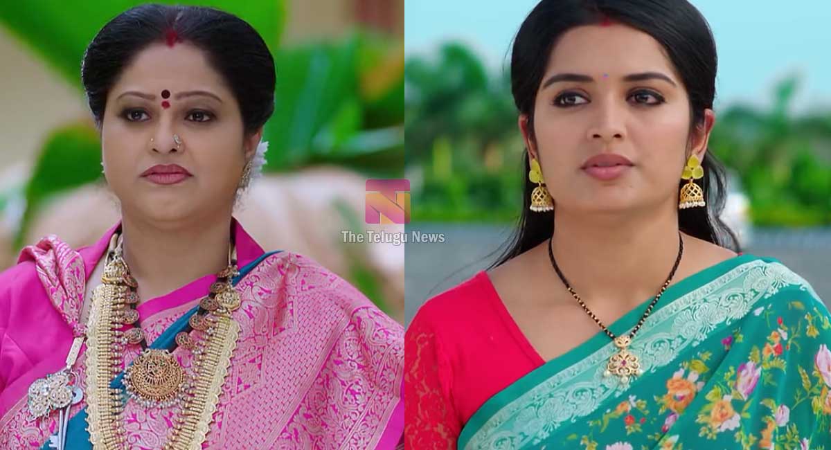 Janaki Kalaganaledu 8 June Today Episode : వెస్టర్న్ ఫుడ్ చేయలేక.. పోటీ నుంచి రామా తప్పుకుంటాడా? ఓటమిని రామా తట్టుకుంటాడా? జ్ఞానాంబ ఏం చేస్తుంది?