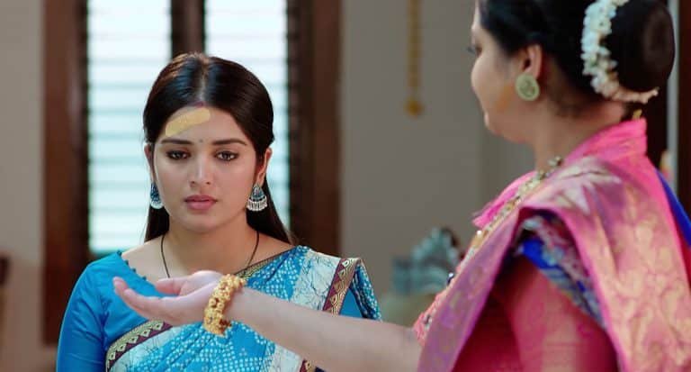 Janaki Kalaganaledu 28 June Today Episode : జ్ఞానాంబను అవమానించిన కామాక్షి.. మనవడిని కని ఇవ్వాలంటూ జానకిని కోరిన జ్ఞానాంబ.. జానకి మాట ఇస్తుందా?