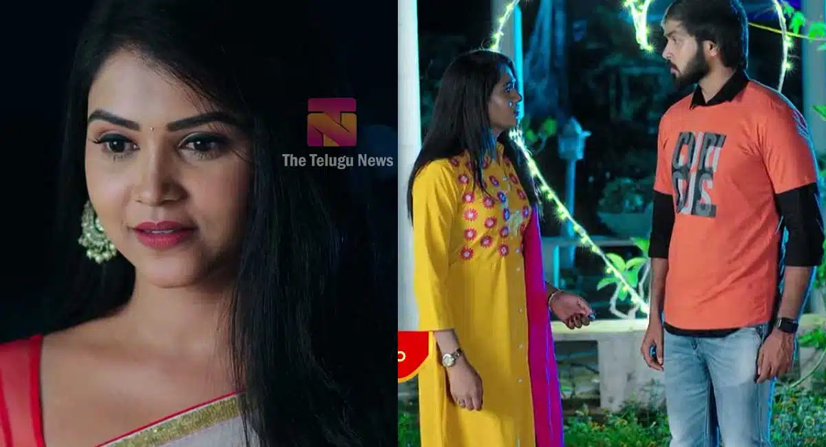 hima pleads nirupam to marry jwala in karthika deepam