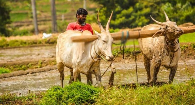 Good News : ఏపీ రైతుల‌కు గుడ్ న్యూస్.. శ్ర‌మ త‌గ్గించేందుకు స‌బ్సిడీపై యంత్ర ప‌రిక‌రాలు