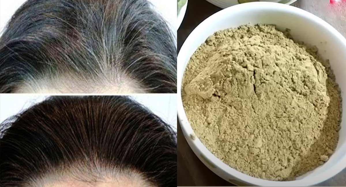 If you have white hair on your head then this leaf juice will cure your white hair