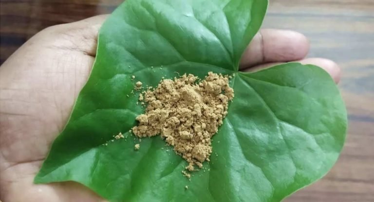 Health Benefits : మన శరీరంలో రోగ నిరోధక శక్తిని పెంచుకోవాలంటే ఈ డ్రింకును తాగాల్సిందే…