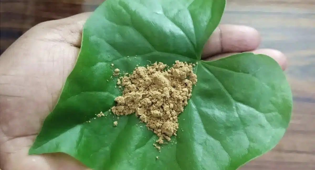 Health Benefits of to grow immunity power in our body with these drink