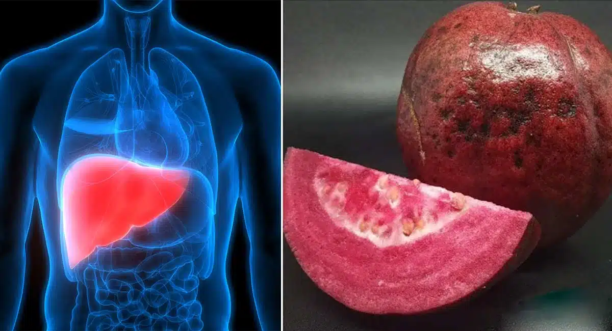 Health Benefits fiber rich protein fruit
