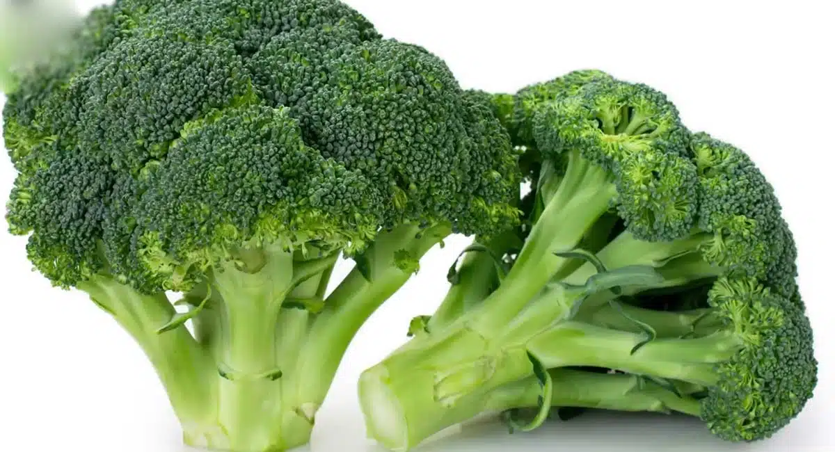 Health Benefits weight loss, improve eyesight