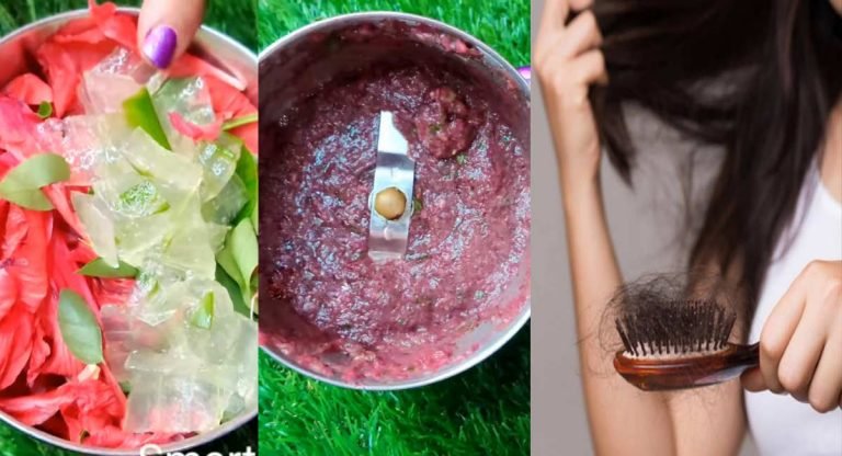 Hair Tips : కలబందతో షాంపూ తయారు చేసి ఇలా వాడి చూడండి… మీ జుట్టు రాలే సమస్యలకు ఇక చెక్.