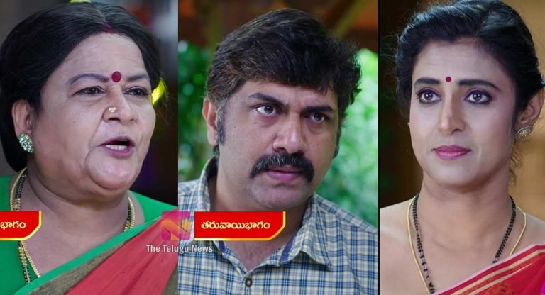 Intinti Gruhalakshmi 29 July Today Episode : హానికి అమ్మ స్థానంలో తులసి.. నందు చేత తులసి గారు పిలిపించిన అనసూయమ్మ..!