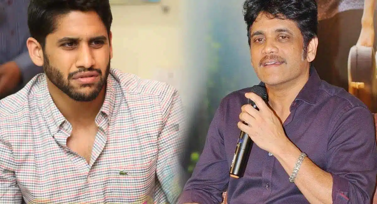 naga chaitanya life spoiled by nagarjuna