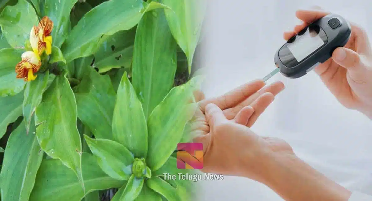 Health tips for diabetes