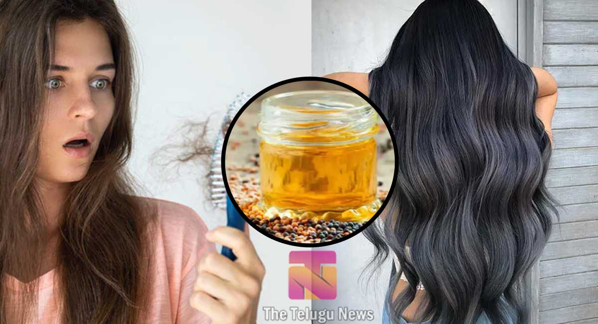 Hair Tips : ఆవనూనెలో ఇది కలిపి రాశారంటే… ఊడిన జుట్టు త్వరగా పెరుగుతుంది…