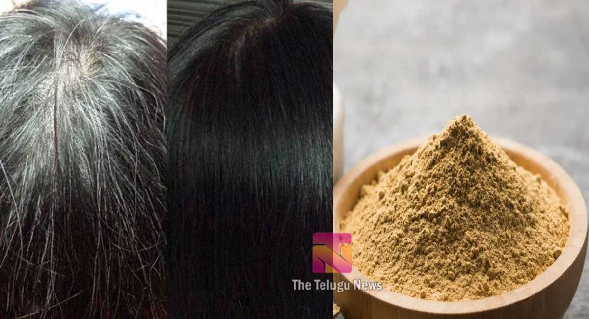 Hair Tips : ఈ ఆకు పొడిలో చిటికెడు ఉప్పు కలిపి రాశారంటే… తెల్ల వెంట్రుకలు నల్లగా మారిపోతాయి…