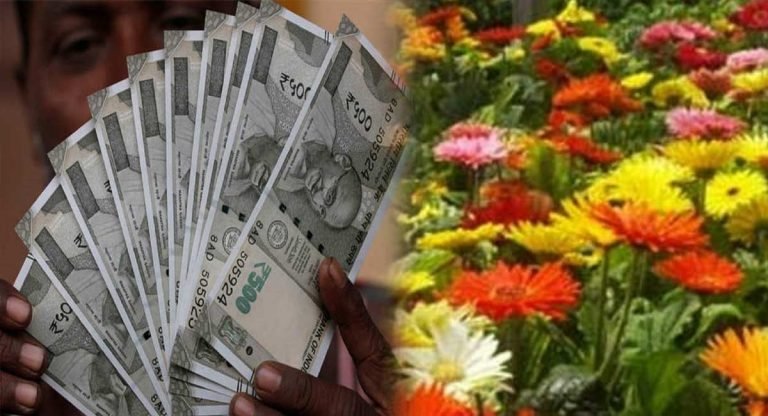 Business Idea : ఈ పూల సాగుతో… నెలకు 30,000 పైన ఆదాయం…
