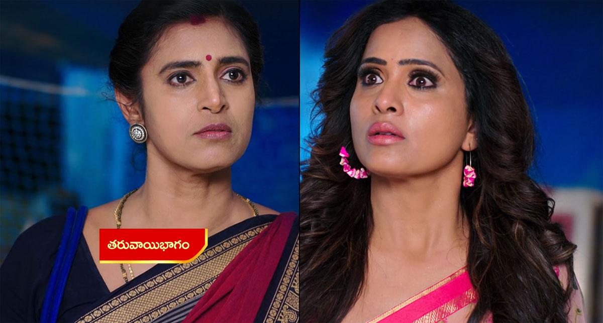 Intinti Gruhalakshmi 01 July Today Episode : తులసి బుట్టలో పడ్డ లాస్య.. భాగ్యను తులసి ఇంటికి పంపించిన లాస్య.. అసలు ట్విస్ట్ ఏంటంటే?