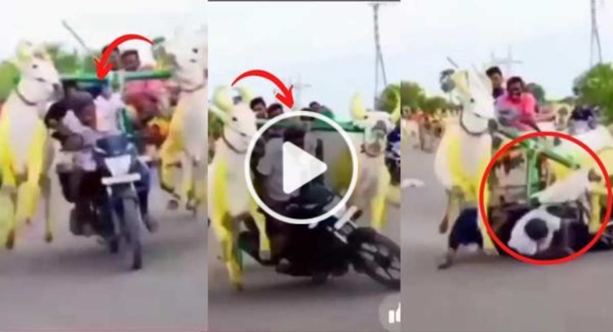 Viral Video : ఎద్దుల ముందు స్టంట్స్ వేసిన యువ‌కులు.. చివ‌ర‌కి కింద‌ప‌డిపోయి..