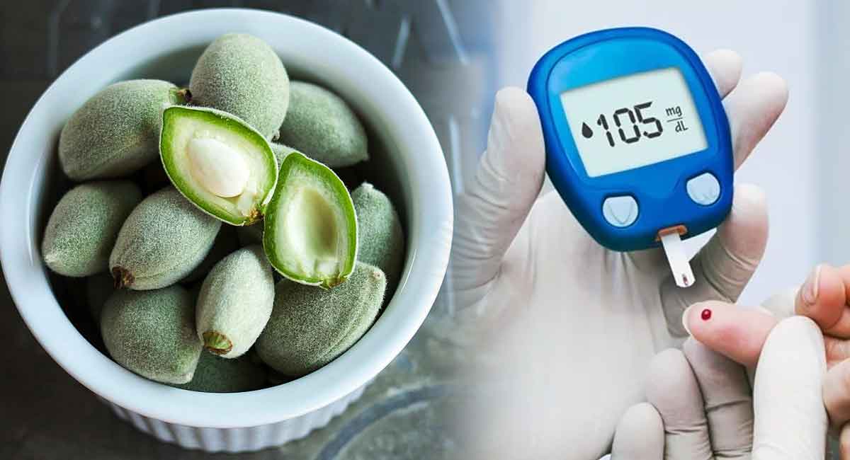 Diabetes : డయాబెటిస్ నియంత్రణలో ఉంచే ఆకుపచ్చ బాదం.! ఎప్పుడు, ఎలా, ఎన్ని తినాలో తెలుసుకోండి!!